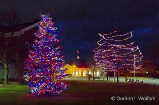 Holiday Lights_04393-7.jpg - Photographed at Smiths Falls, Ontario, Canada.